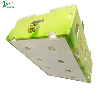Reusable Vegetable Corrugated Boxes with Lockable Lid