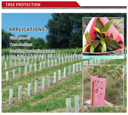 1.5mm PP Corflute Tree Guard Green Plastic Tree Trunk Protectors