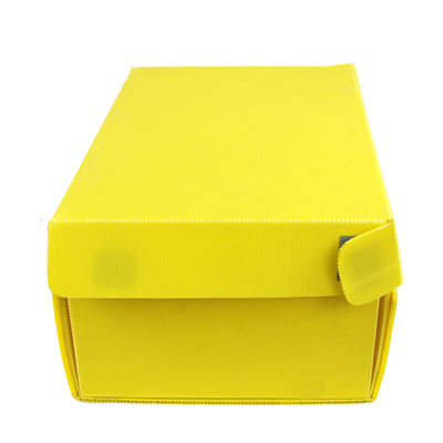 Custom made cheap pp corrugated plastic storage box with lid