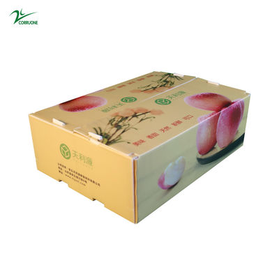 Twinwall PP Corrugated Box Food Grade Corflute Container For Fruits Vegetables