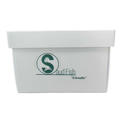 Corruone polypropylene Wholesale waterproof PP corrugated plastic box fruit vegetable foldable PP plastic box