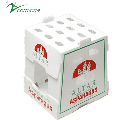 2mm 3mm Asparagus Folding Corrugated Plastic Boxes Polypropylene PP