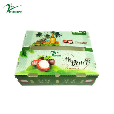 Wholesale Custom Printed Foldable Transparent Plastic Corrugated Square Packaging Display Fruit Boxes With Lids