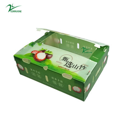 Wholesale Custom Printed Foldable Transparent Plastic Corrugated Square Packaging Display Fruit Boxes With Lids