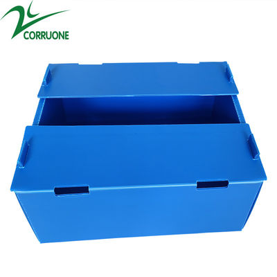 Wholesale Reusable Stackable Pp Hollow Corrugated Plastic Corflute Packaging Fruit And Vegetable Box