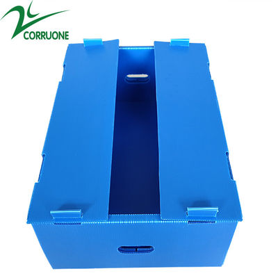 Wholesale Reusable Stackable Pp Hollow Corrugated Plastic Corflute Packaging Fruit And Vegetable Box