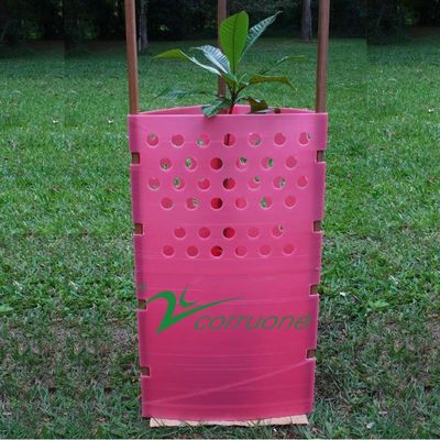 UV Treated Corrugated Tree Guards 3mm PP Corflute Plant Guards