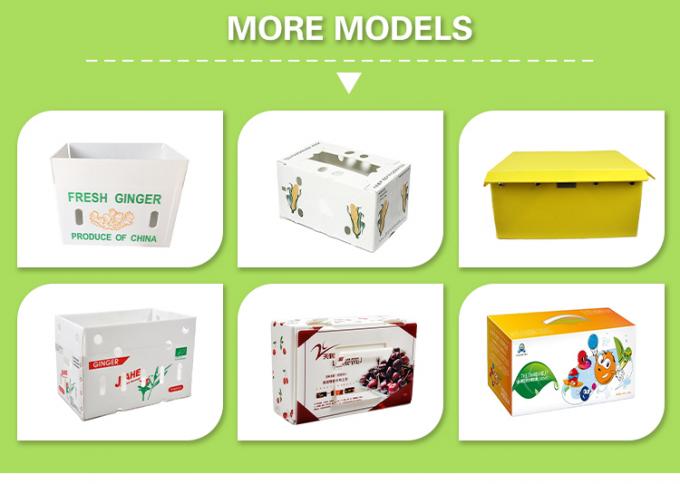 Fruit Corrugated Plastic Packaging Broccoli PP Corrugated Sheet Box