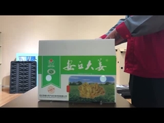 PP hollow board vegetable box