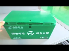 fruit & vegetable packaing box  accept customization