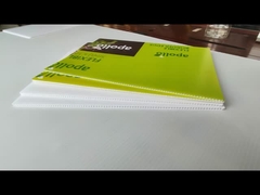 Plastic hollow board