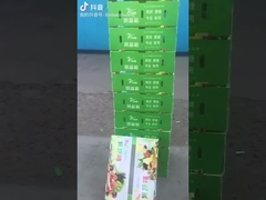 Fruit and vegetable box