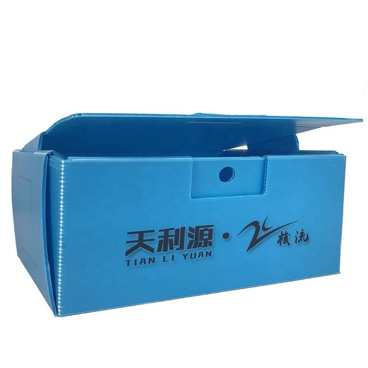 OEM factory produce PP plastic corrugated box for   fresh sweet corn  broccoli eggplant ginger  box