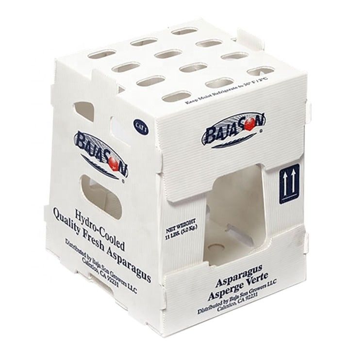 OEM factory produce PP plastic corrugated box for   fresh sweet corn  broccoli eggplant ginger  box