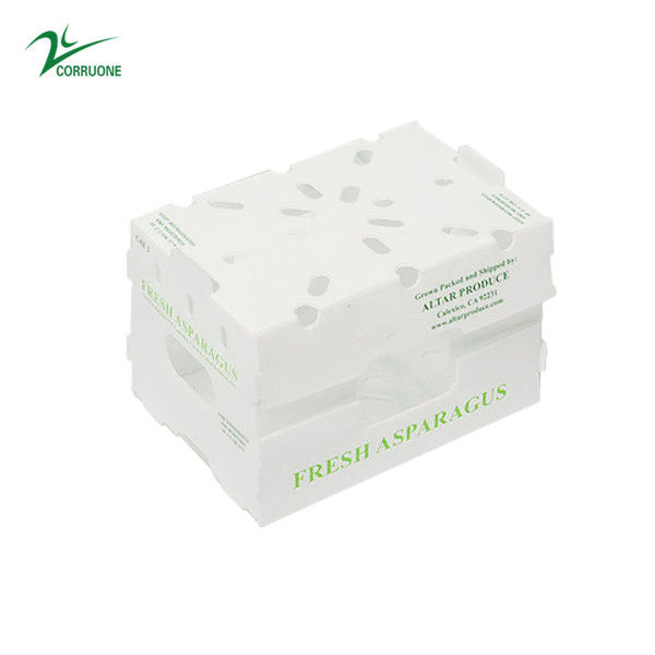 Corruone Waterproof Folding Polypropylene  Corrugated Plastic Fruits Vegetables Asparagus/Ginger/Taro/Okra Packing box