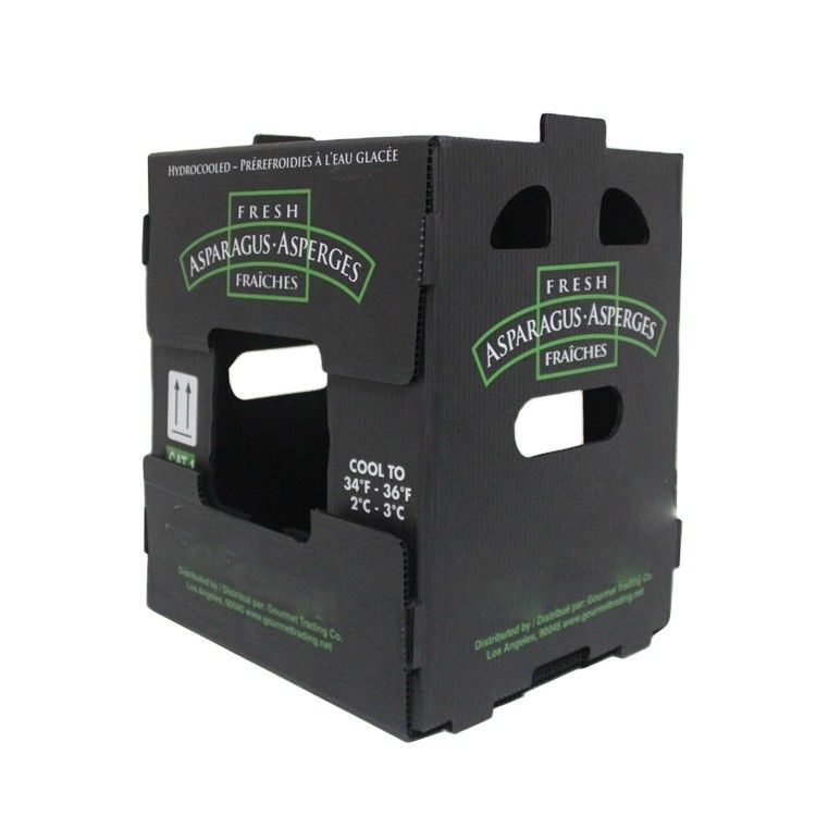 Corruone Waterproof Folding Polypropylene  Corrugated Plastic Fruits Vegetables Asparagus/Ginger/Taro/Okra Packing box