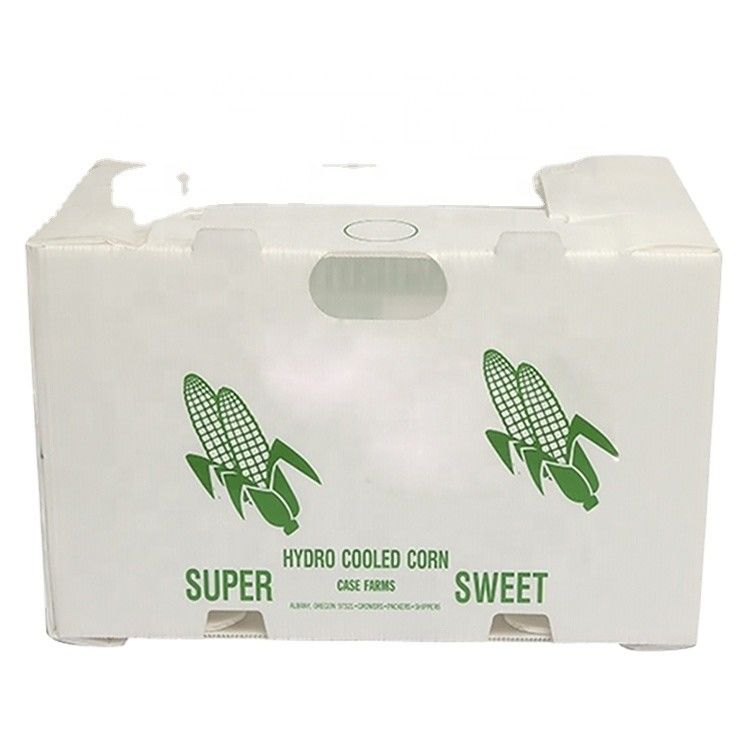 Correx Fruit Box PP Corrugated Plastic Box For Vegetable  And Agriculture Packing Box