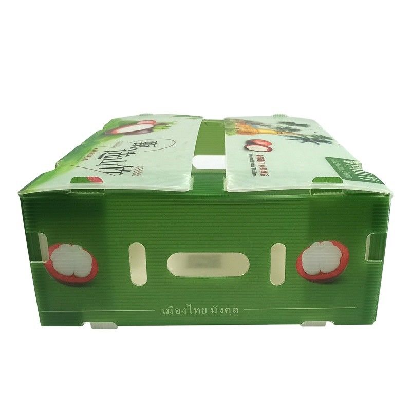 Foldable  Factory Supply Recycled Folding PP Corrugated Coroplast Plastic Fruit Vegetable Box