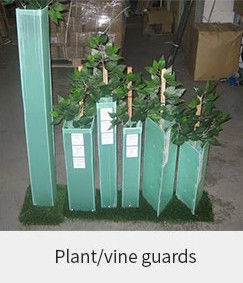 1.5mm PP Corflute Tree Guard Green Plastic Tree Trunk Protectors