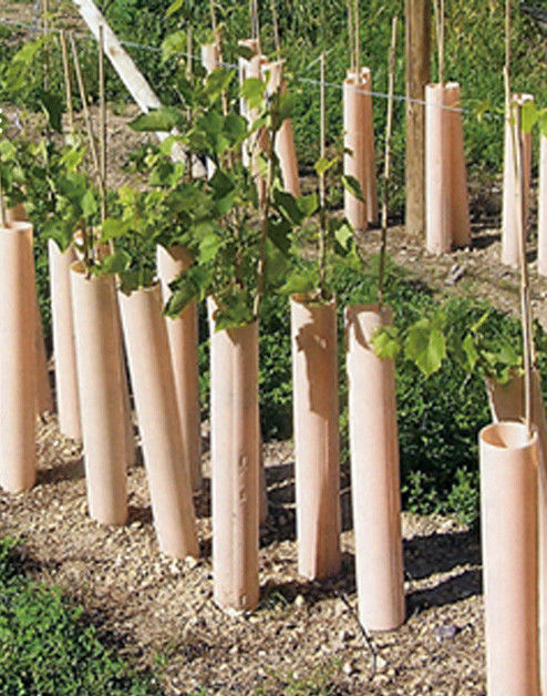 1.5mm PP Corflute Tree Guard Green Plastic Tree Trunk Protectors