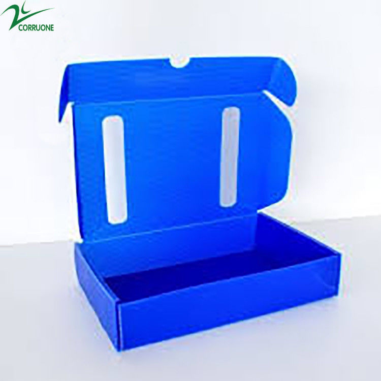 Okra Folding PP Carton Box Correx Storage Corrugated PP Box