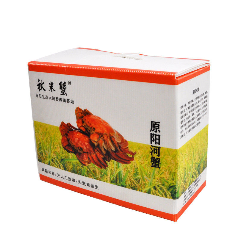 Corruone Collapsible PP Corrugated Plastic Danpla Box Polypropylene Plastic Sheet Crates Corrugated Storage box