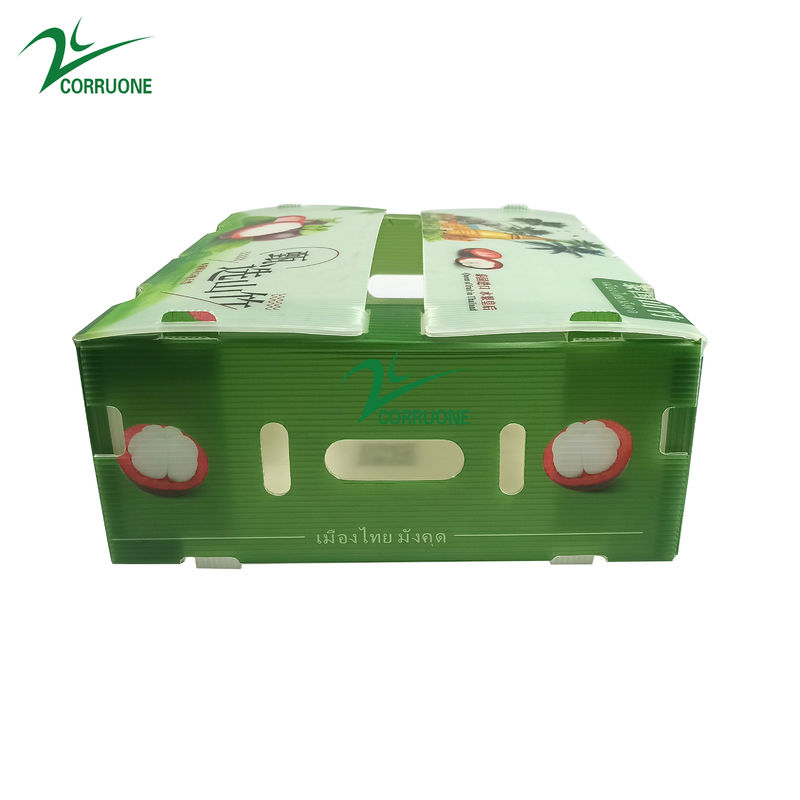 Corruone Collapsible PP Corrugated Plastic Danpla Box Polypropylene Plastic Sheet Crates Corrugated Storage box