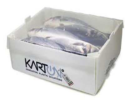 Corruone PP polypropylene 5 KG & 10 KG Custom Waterproof Frozen Meat or Seafood Packaging Boxes Corrugated plastic seafood box
