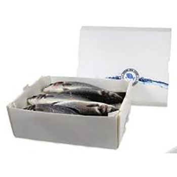 Corruone PP polypropylene 5 KG & 10 KG Custom Waterproof Frozen Meat or Seafood Packaging Boxes Corrugated plastic seafood box