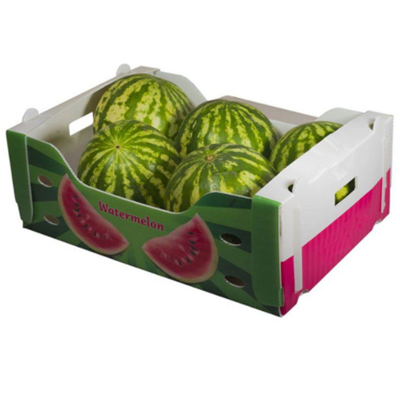 5mm 6mm Correx PP Plastic Boxes For Fruits And Vegetables