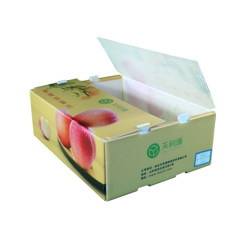 Twinwall PP Corrugated Box Food Grade Corflute Container For Fruits Vegetables