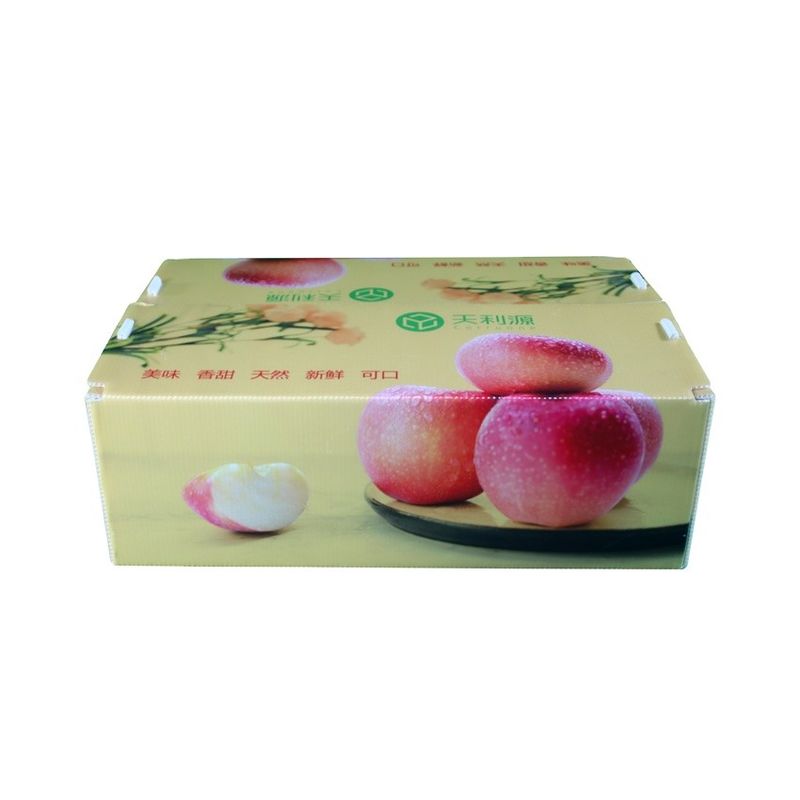 Twinwall PP Corrugated Box Food Grade Corflute Container For Fruits Vegetables