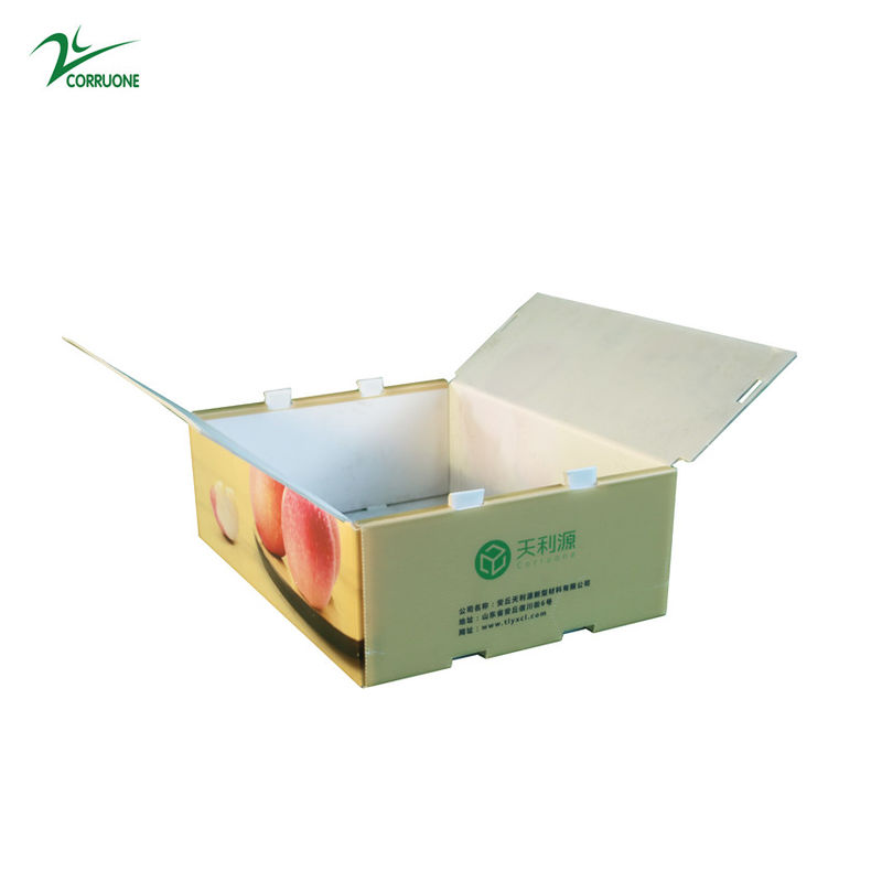 Twinwall PP Corrugated Box Food Grade Corflute Container For Fruits Vegetables