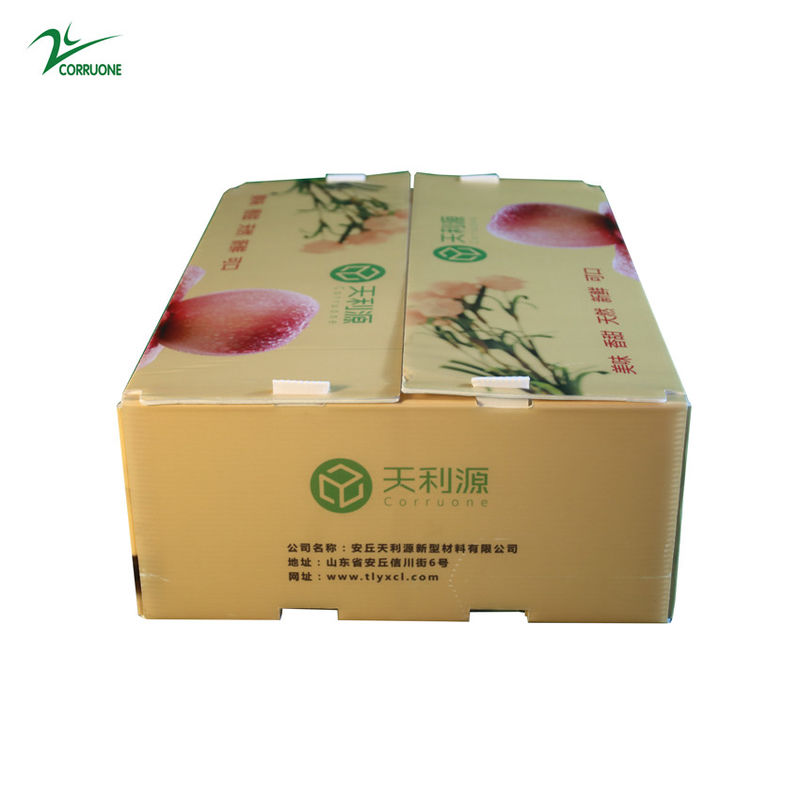 Twinwall PP Corrugated Box Food Grade Corflute Container For Fruits Vegetables
