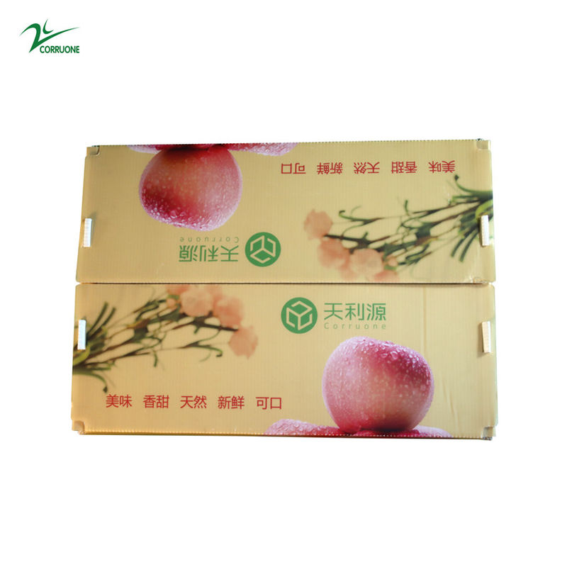 Twinwall PP Corrugated Box Food Grade Corflute Container For Fruits Vegetables