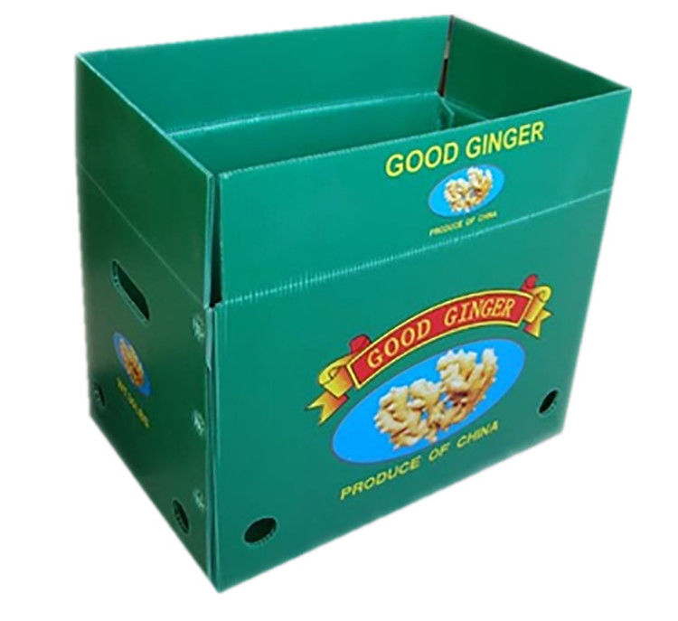 Fruit Vegetable Packing PP Cartonplast Grapes Packing Boxes Plastic Broccoli Boxes Corrugated Ginger Sheet