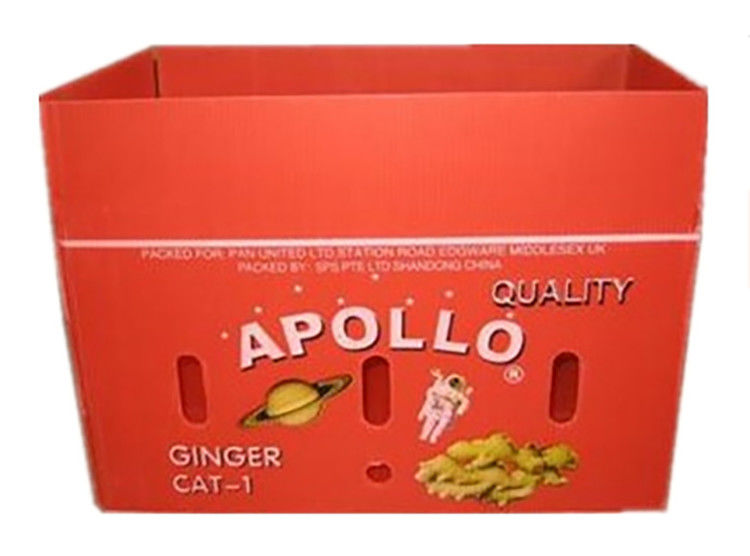Fruit Vegetable Packing PP Cartonplast Grapes Packing Boxes Plastic Broccoli Boxes Corrugated Ginger Sheet
