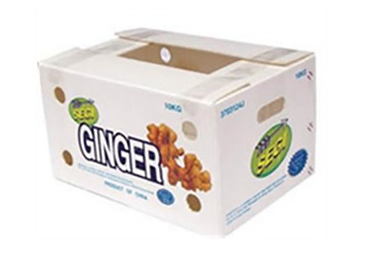 Fruit Vegetable Packing PP Cartonplast Grapes Packing Boxes Plastic Broccoli Boxes Corrugated Ginger Sheet