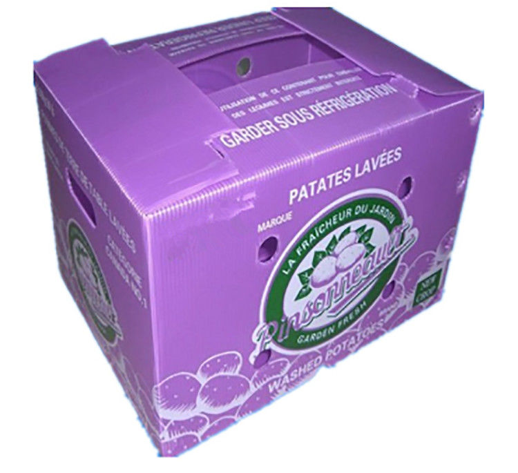 Fruit Vegetable Packing PP Cartonplast Grapes Packing Boxes Plastic Broccoli Boxes Corrugated Ginger Sheet