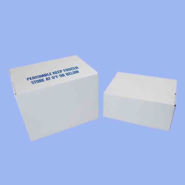 PP Corrugated Plastic Box for Vegetable and Fruit Box Corn broccoli  and Agriculture Packing box