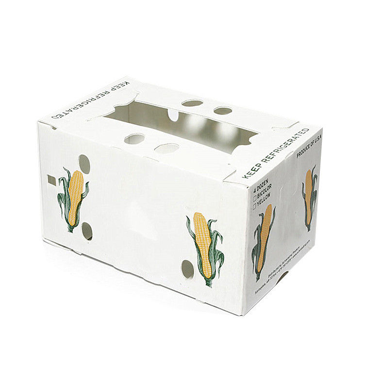 PP Corrugated Plastic Box for Vegetable and Fruit Box Corn broccoli  and Agriculture Packing box