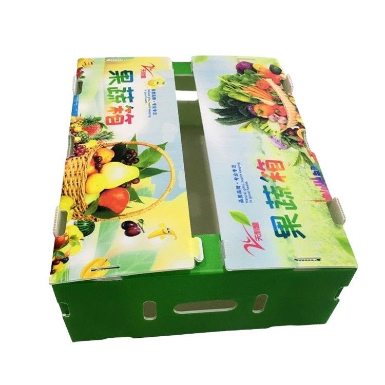 New 2023 PP Corrugated Plastic Box for Vegetable and Fruit Box