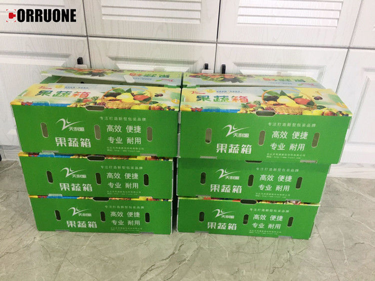 PP Corrugated Plastic Box for Vegetable and Fruit Box Corn broccoli  and Agriculture Packing box