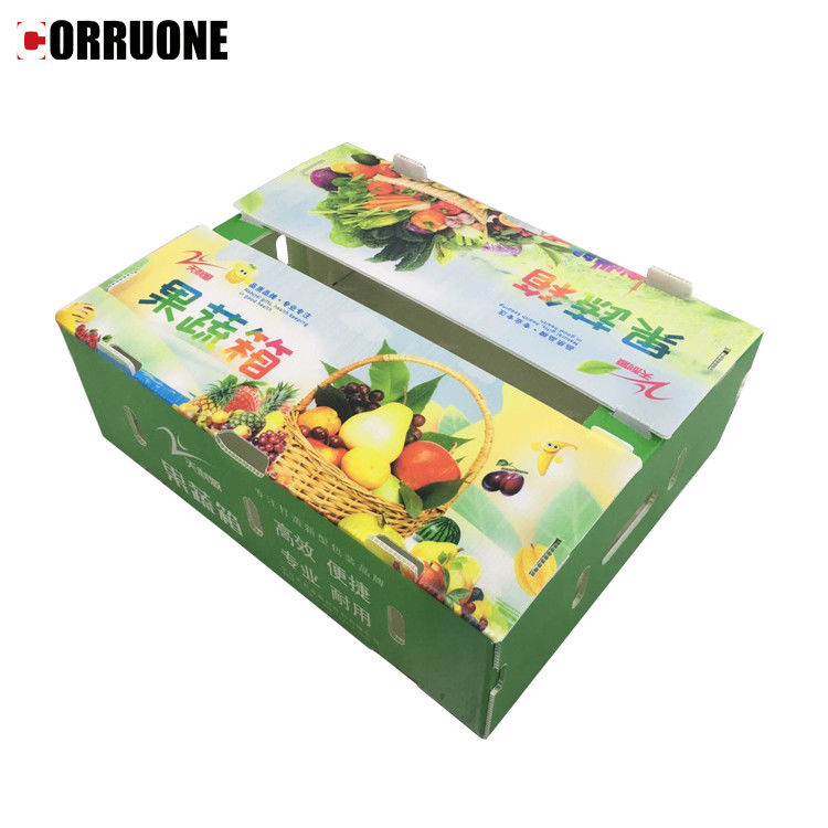 PP Corrugated Plastic Box for Vegetable and Fruit Box Corn broccoli  and Agriculture Packing box
