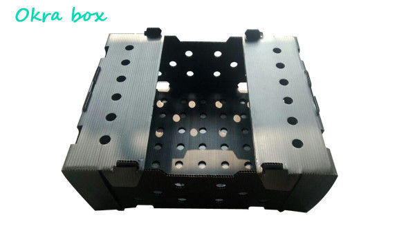 PP Corrugated Plastic Box for Vegetable and Fruit Box Corflute correx Corn broccoli  and Agriculture Packing box