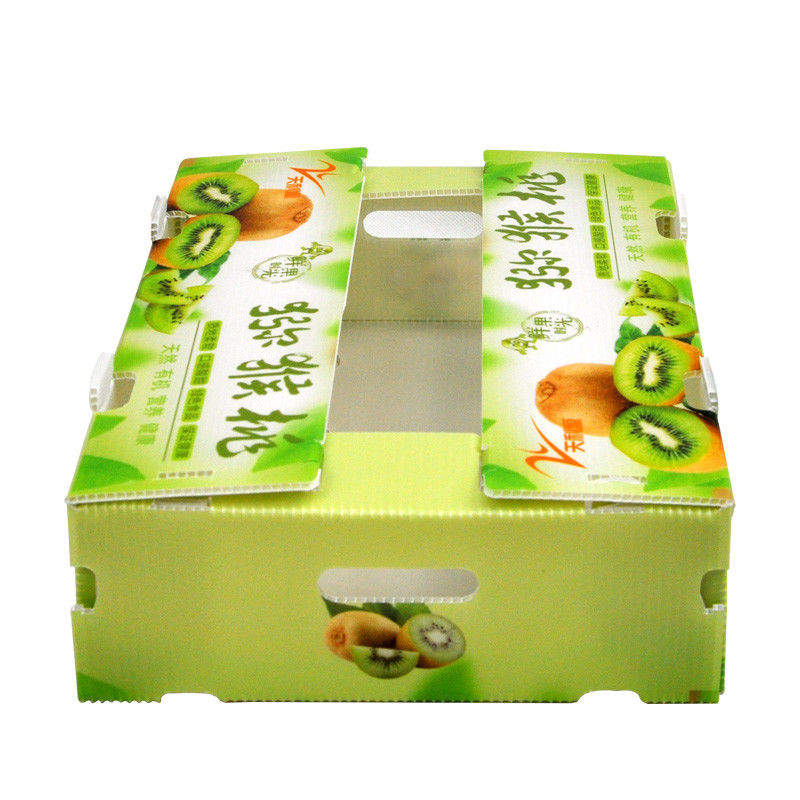 Custom Coroplast Boxes Vegetable Corrugated Boxes For Red Pepper