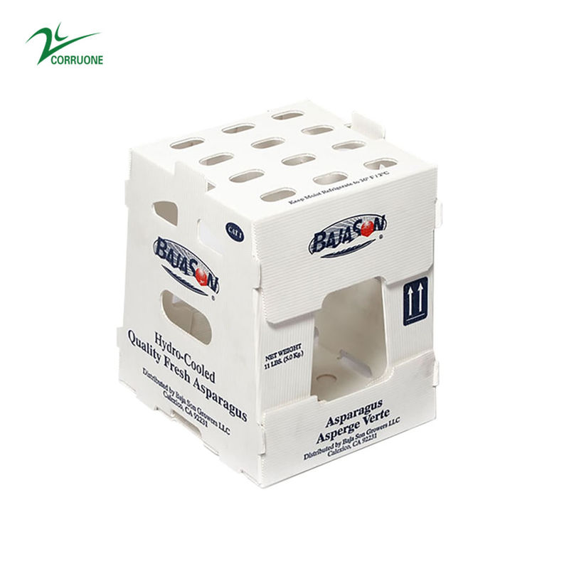 New 2023 Corrugated plastic box for Fruits and vegetables low price