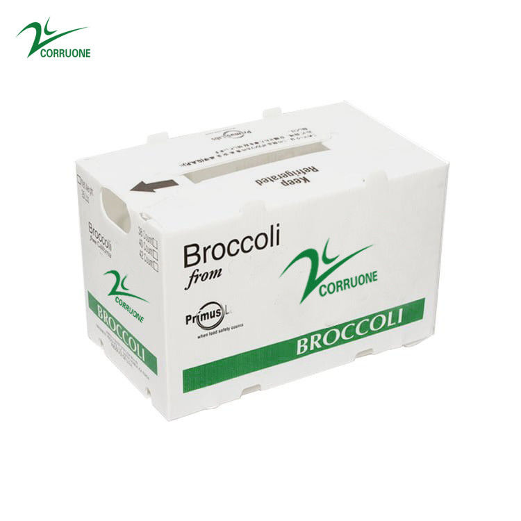 New 2023 Corrugated plastic box for Fruits and vegetables low price