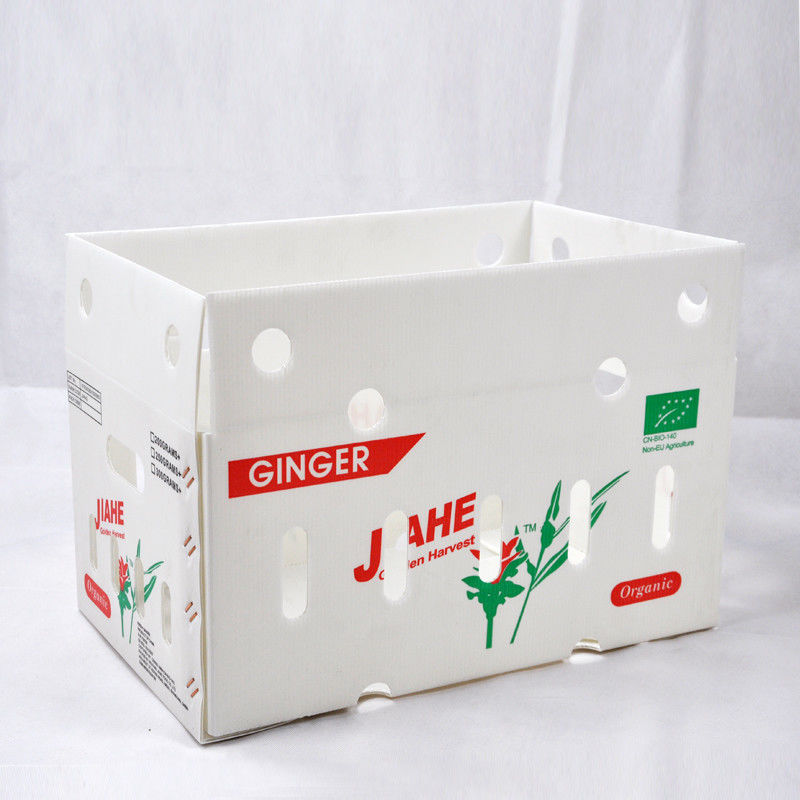 New 2023 Corrugated plastic box for Fruits and vegetables low price