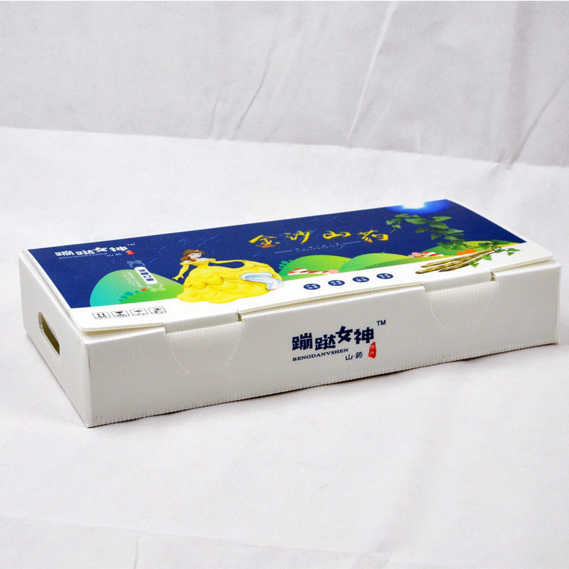 New 2023 Corrugated plastic box for Fruits and vegetables low price